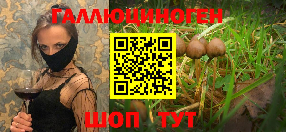 Псилоцибиновые грибы MAGIC MUSHROOMS Острогожск