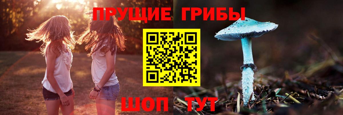 Псилоцибиновые грибы Magic Shrooms  Галлюциногенные грибы ЛСД  купить закладку  Острогожск  Вход с VPN 