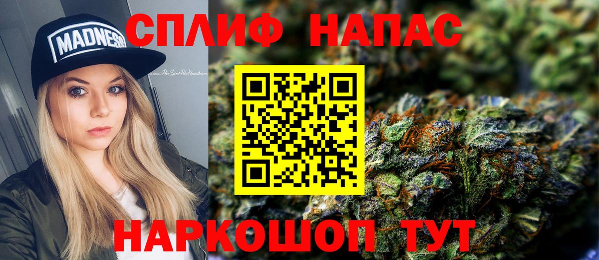 Бошки Шишки план Острогожск